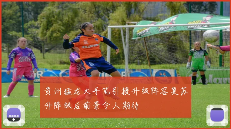 贵州猛龙大手笔引援升级阵容复苏升降级后前景令人期待
