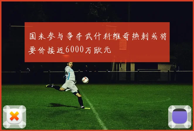 国米参与争夺武什科维奇热刺或将要价接近6000万欧元